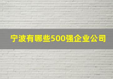 宁波有哪些500强企业公司