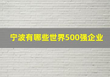 宁波有哪些世界500强企业