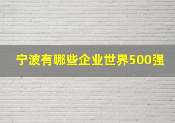 宁波有哪些企业世界500强