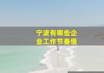 宁波有哪些企业工作节奏慢