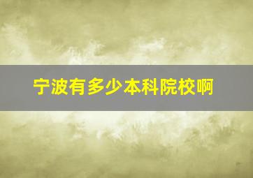 宁波有多少本科院校啊