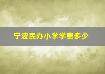 宁波民办小学学费多少