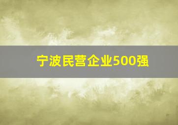 宁波民营企业500强