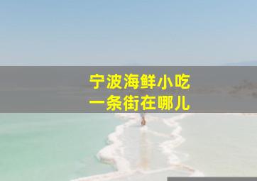 宁波海鲜小吃一条街在哪儿