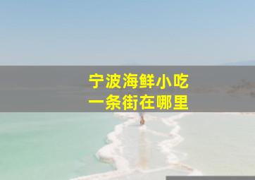 宁波海鲜小吃一条街在哪里