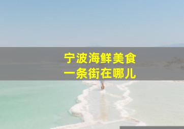 宁波海鲜美食一条街在哪儿