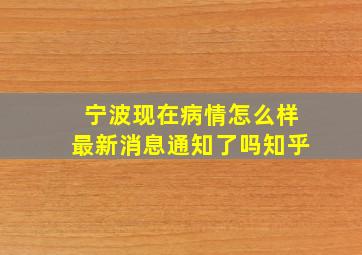 宁波现在病情怎么样最新消息通知了吗知乎