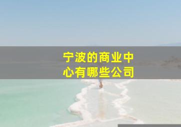 宁波的商业中心有哪些公司