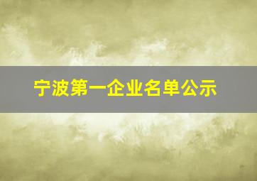 宁波第一企业名单公示