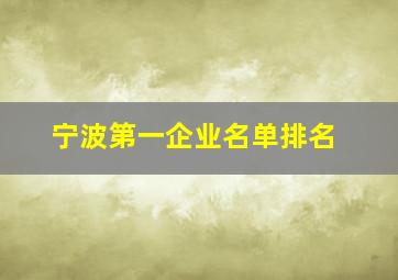 宁波第一企业名单排名