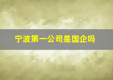 宁波第一公司是国企吗