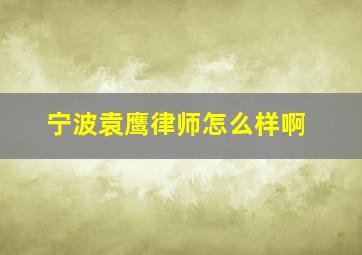 宁波袁鹰律师怎么样啊