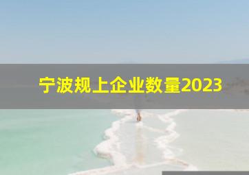 宁波规上企业数量2023