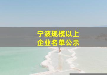 宁波规模以上企业名单公示