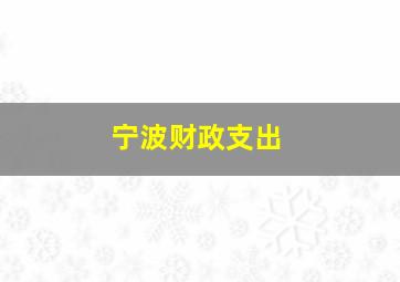 宁波财政支出