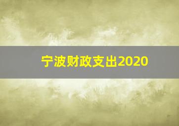 宁波财政支出2020