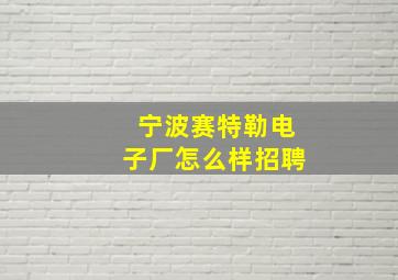 宁波赛特勒电子厂怎么样招聘