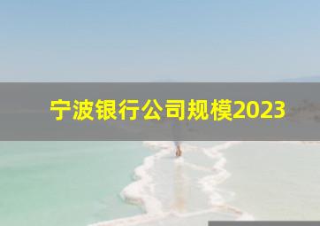 宁波银行公司规模2023