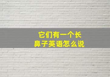 它们有一个长鼻子英语怎么说