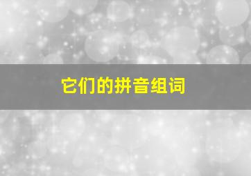 它们的拼音组词