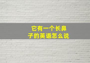 它有一个长鼻子的英语怎么说