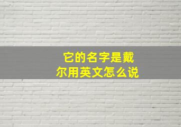 它的名字是戴尔用英文怎么说