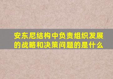 安东尼结构中负责组织发展的战略和决策问题的是什么