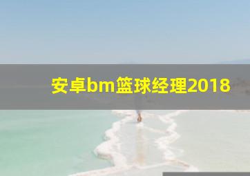 安卓bm篮球经理2018