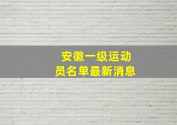 安徽一级运动员名单最新消息