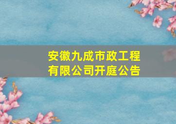 安徽九成市政工程有限公司开庭公告