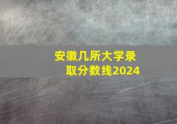 安徽几所大学录取分数线2024