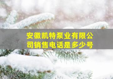 安徽凯特泵业有限公司销售电话是多少号