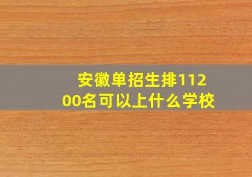 安徽单招生排11200名可以上什么学校