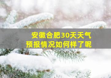 安徽合肥30天天气预报情况如何样了呢