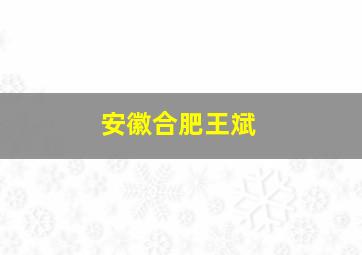 安徽合肥王斌