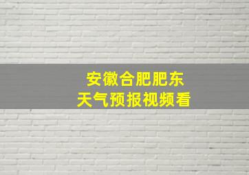 安徽合肥肥东天气预报视频看