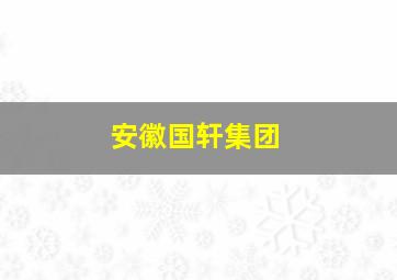 安徽国轩集团