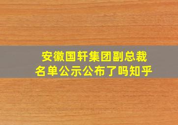 安徽国轩集团副总裁名单公示公布了吗知乎