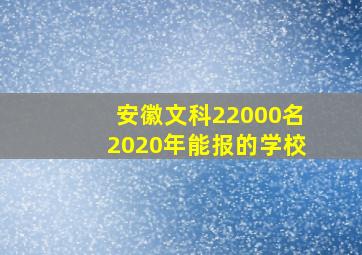 安徽文科22000名2020年能报的学校