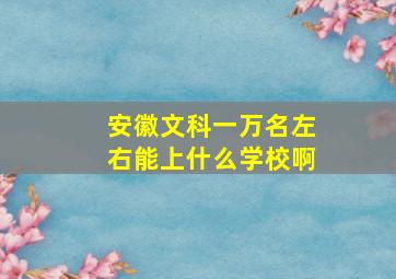 安徽文科一万名左右能上什么学校啊