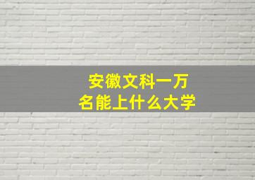 安徽文科一万名能上什么大学