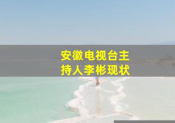 安徽电视台主持人李彬现状