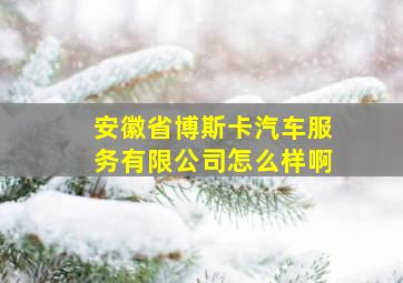 安徽省博斯卡汽车服务有限公司怎么样啊