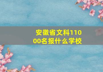 安徽省文科11000名报什么学校