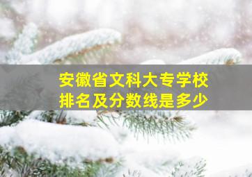 安徽省文科大专学校排名及分数线是多少