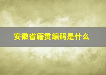 安徽省籍贯编码是什么