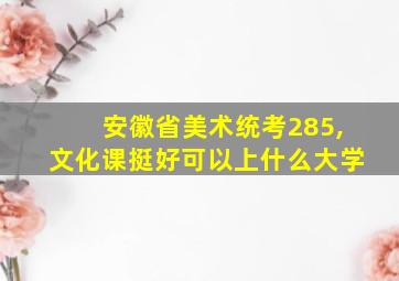 安徽省美术统考285,文化课挺好可以上什么大学