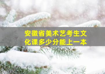 安徽省美术艺考生文化课多少分能上一本