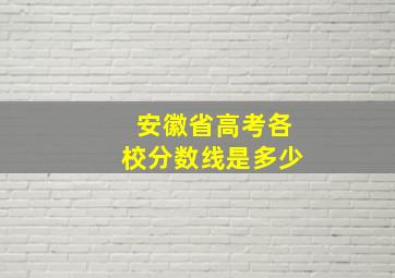 安徽省高考各校分数线是多少