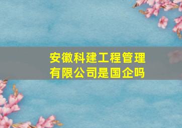 安徽科建工程管理有限公司是国企吗